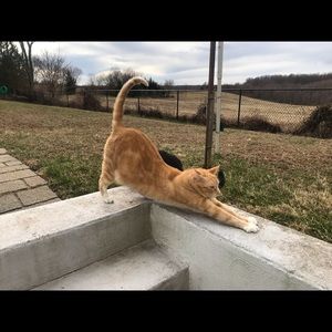 Meet your Posher, Chankanha